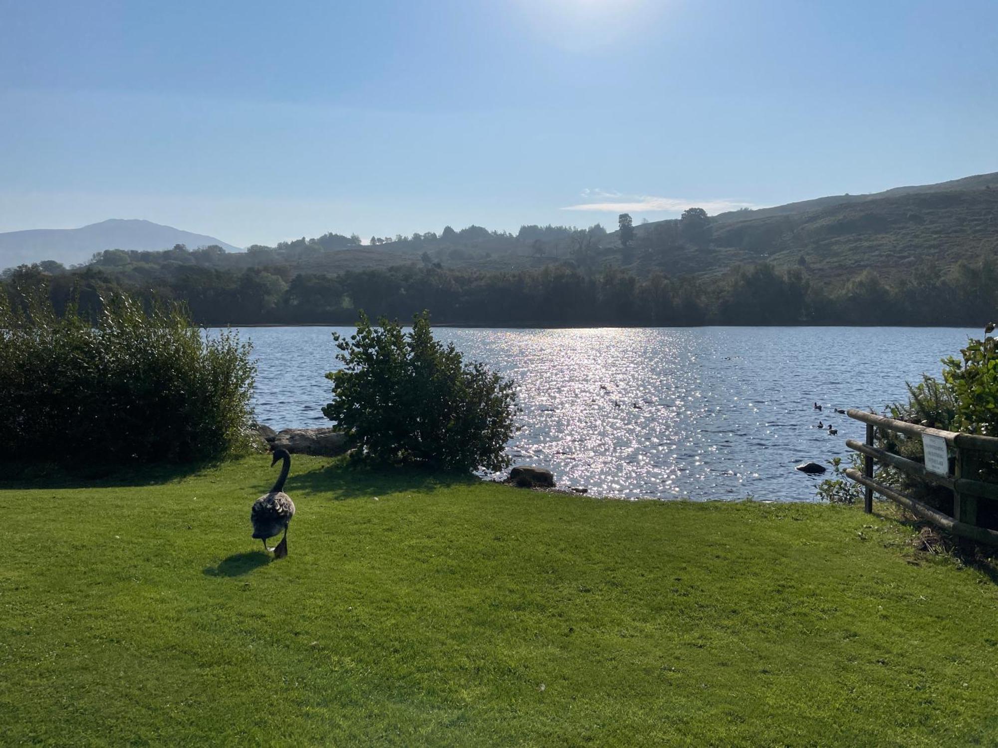 No 61 Brynteg Country & Leisure Retreat Villa Cwm-y-glo Екстериор снимка